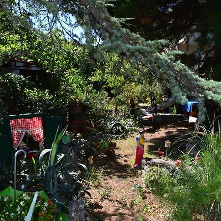 Holiday House Neno Grebaštica المظهر الخارجي الصورة